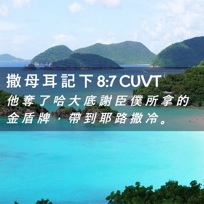 Picture 02 - 撒 母 耳 記 下 8:7 CUVT - 他 奪 了 哈 大 底 謝 臣 僕 所 拿 的 - Bible Verse Picture
