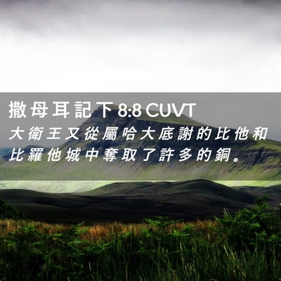 Picture 02 - 撒 母 耳 記 下 8:8 CUVT - 大 衛 王 又 從 屬 哈 大 底 謝 的 比 - Bible Verse Picture