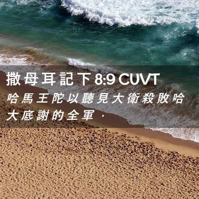 Picture 02 - 撒 母 耳 記 下 8:9 CUVT - 哈 馬 王 陀 以 聽 見 大 衛 殺 敗 哈 - Bible Verse Picture