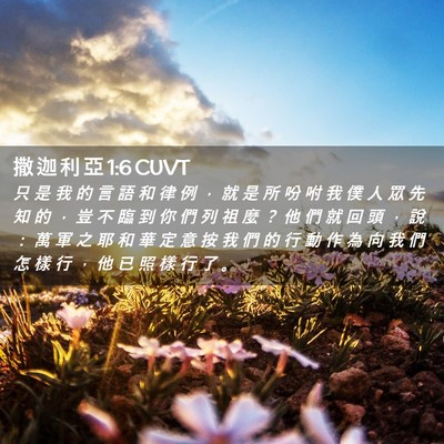 Picture 02 - 撒 迦 利 亞 1:6 CUVT - 只 是 我 的 言 語 和 律 例 ， 就 是 - Bible Verse Picture
