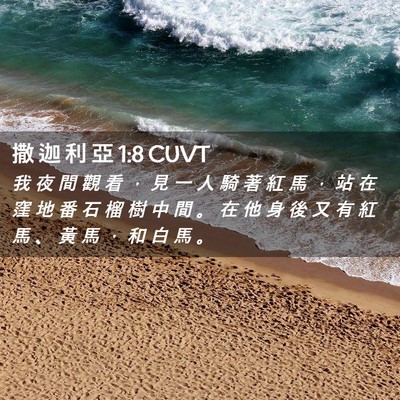 Picture 02 - 撒 迦 利 亞 1:8 CUVT - 我 夜 間 觀 看 ， 見 一 人 騎 著 紅 - Bible Verse Picture