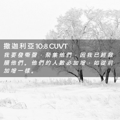 Picture 02 - 撒 迦 利 亞 10:8 CUVT - 我 要 發 嘶 聲 ， 聚 集 他 們 ， 因 - Bible Verse Picture