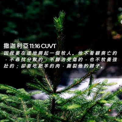Picture 02 - 撒 迦 利 亞 11:16 CUVT - 因 我 要 在 這 地 興 起 一 個 牧 人 - Bible Verse Picture
