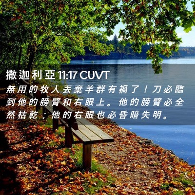 Picture 02 - 撒 迦 利 亞 11:17 CUVT - 無 用 的 牧 人 丟 棄 羊 群 有 禍 了 - Bible Verse Picture