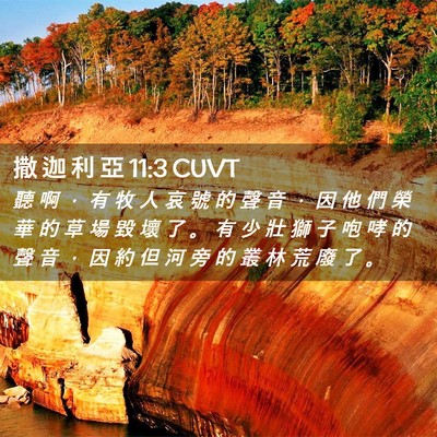 Picture 02 - 撒 迦 利 亞 11:3 CUVT - 聽 啊 ， 有 牧 人 哀 號 的 聲 音 ， - Bible Verse Picture
