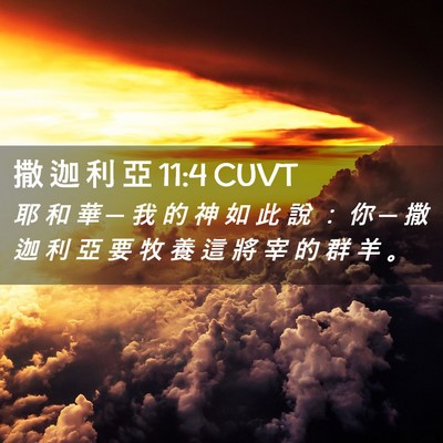 Picture 02 - 撒 迦 利 亞 11:4 CUVT - 耶 和 華 ─ 我 的 神 如 此 說 ： 你 - Bible Verse Picture