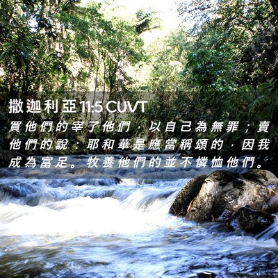 Picture 02 - 撒 迦 利 亞 11:5 CUVT - 買 他 們 的 宰 了 他 們 ， 以 自 己 - Bible Verse Picture
