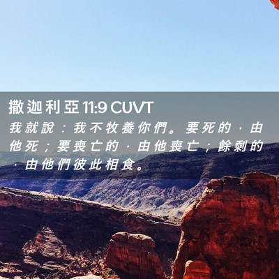 Picture 02 - 撒 迦 利 亞 11:9 CUVT - 我 就 說 ： 我 不 牧 養 你 們 。 要 - Bible Verse Picture