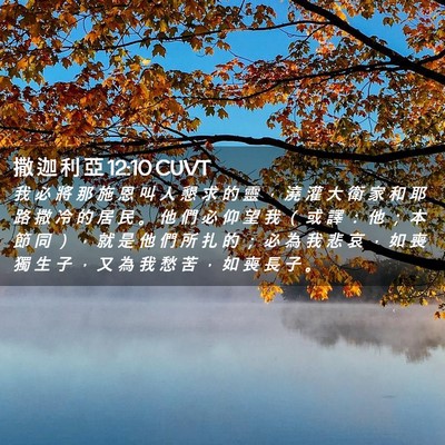 Picture 02 - 撒 迦 利 亞 12:10 CUVT - 我 必 將 那 施 恩 叫 人 懇 求 的 靈 - Bible Verse Picture