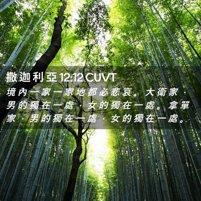 Picture 02 - 撒 迦 利 亞 12:12 CUVT - 境 內 一 家 一 家 地 都 必 悲 哀 。 - Bible Verse Picture