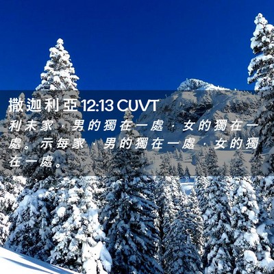 Picture 02 - 撒 迦 利 亞 12:13 CUVT - 利 未 家 ， 男 的 獨 在 一 處 ， 女 - Bible Verse Picture