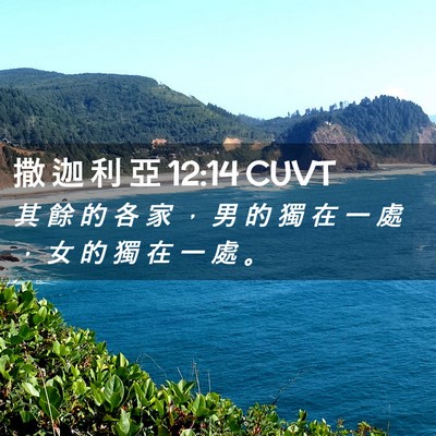 Picture 02 - 撒 迦 利 亞 12:14 CUVT - 其 餘 的 各 家 ， 男 的 獨 在 一 處 - Bible Verse Picture