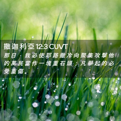 Picture 02 - 撒 迦 利 亞 12:3 CUVT - 那 日 ， 我 必 使 耶 路 撒 冷 向 聚 - Bible Verse Picture