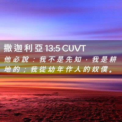 Picture 02 - 撒 迦 利 亞 13:5 CUVT - 他 必 說 ： 我 不 是 先 知 ， 我 是 - Bible Verse Picture