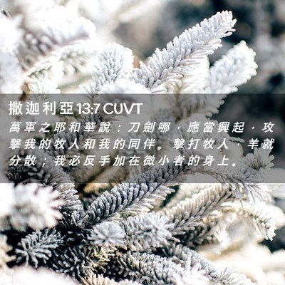 Picture 02 - 撒 迦 利 亞 13:7 CUVT - 萬 軍 之 耶 和 華 說 ： 刀 劍 哪 ， - Bible Verse Picture