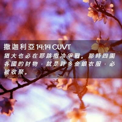 Picture 02 - 撒 迦 利 亞 14:14 CUVT - 猶 大 也 必 在 耶 路 撒 冷 爭 戰 。 - Bible Verse Picture