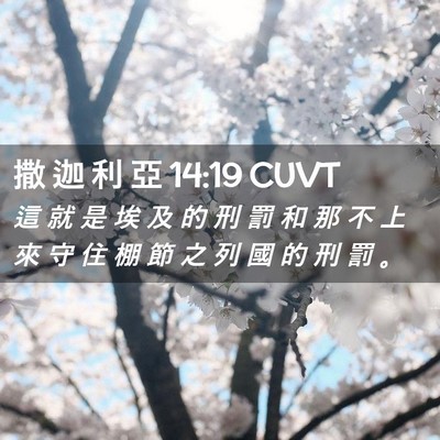 Picture 02 - 撒 迦 利 亞 14:19 CUVT - 這 就 是 埃 及 的 刑 罰 和 那 不 上 - Bible Verse Picture
