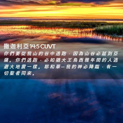 Picture 02 - 撒 迦 利 亞 14:5 CUVT - 你 們 要 從 我 山 的 谷 中 逃 跑 ， - Bible Verse Picture