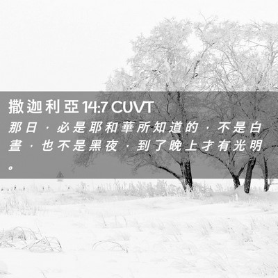 Picture 02 - 撒 迦 利 亞 14:7 CUVT - 那 日 ， 必 是 耶 和 華 所 知 道 的 - Bible Verse Picture