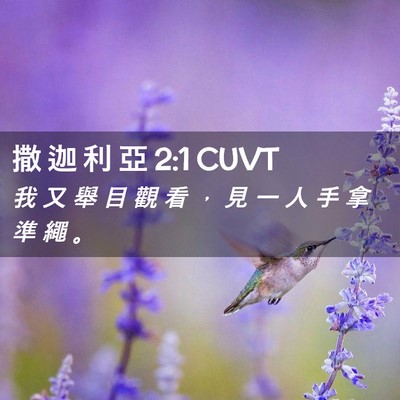 Picture 02 - 撒 迦 利 亞 2:1 CUVT - 我 又 舉 目 觀 看 ， 見 一 人 手 拿 - Bible Verse Picture