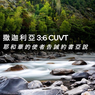 Picture 02 - 撒 迦 利 亞 3:6 CUVT - 耶 和 華 的 使 者 告 誡 約 書 亞 說 - Bible Verse Picture