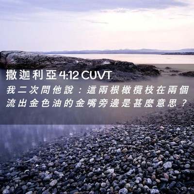 Picture 02 - 撒 迦 利 亞 4:12 CUVT - 我 二 次 問 他 說 ： 這 兩 根 橄 欖 - Bible Verse Picture