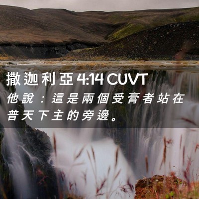 Picture 02 - 撒 迦 利 亞 4:14 CUVT - 他 說 ： 這 是 兩 個 受 膏 者 站 在 - Bible Verse Picture