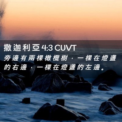 Picture 02 - 撒 迦 利 亞 4:3 CUVT - 旁 邊 有 兩 棵 橄 欖 樹 ， 一 棵 在 - Bible Verse Picture