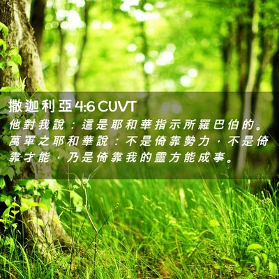 Picture 02 - 撒 迦 利 亞 4:6 CUVT - 他 對 我 說 ： 這 是 耶 和 華 指 示 - Bible Verse Picture