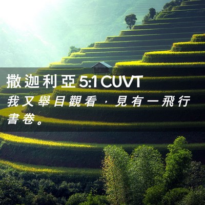 Picture 02 - 撒 迦 利 亞 5:1 CUVT - 我 又 舉 目 觀 看 ， 見 有 一 飛 行 - Bible Verse Picture