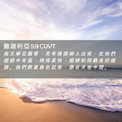 Picture 02 - 撒 迦 利 亞 5:9 CUVT - 我 又 舉 目 觀 看 ， 見 有 兩 個 婦 - Bible Verse Picture