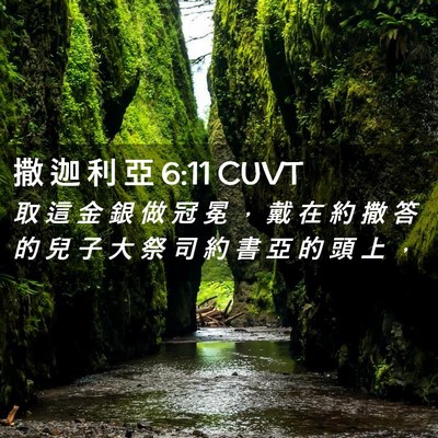 Picture 02 - 撒 迦 利 亞 6:11 CUVT - 取 這 金 銀 做 冠 冕 ， 戴 在 約 撒 - Bible Verse Picture