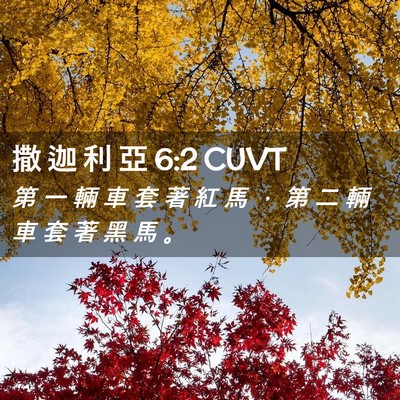 Picture 02 - 撒 迦 利 亞 6:2 CUVT - 第 一 輛 車 套 著 紅 馬 ， 第 二 輛 - Bible Verse Picture