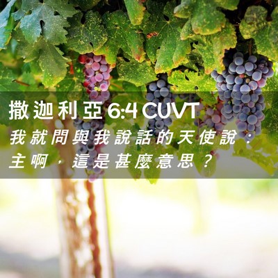 Picture 02 - 撒 迦 利 亞 6:4 CUVT - 我 就 問 與 我 說 話 的 天 使 說 ： - Bible Verse Picture