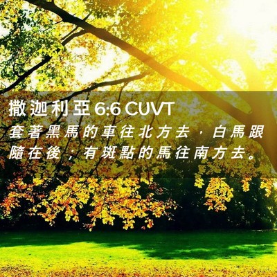 Picture 02 - 撒 迦 利 亞 6:6 CUVT - 套 著 黑 馬 的 車 往 北 方 去 ， 白 - Bible Verse Picture