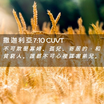 Picture 02 - 撒 迦 利 亞 7:10 CUVT - 不 可 欺 壓 寡 婦 、 孤 兒 、 寄 居 - Bible Verse Picture