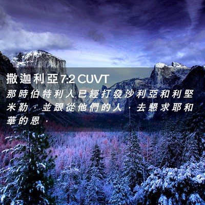 Picture 02 - 撒 迦 利 亞 7:2 CUVT - 那 時 伯 特 利 人 已 經 打 發 沙 利 - Bible Verse Picture