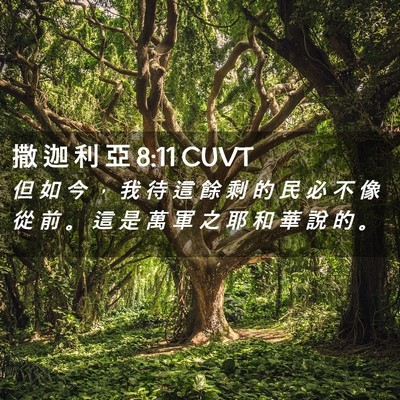 Picture 02 - 撒 迦 利 亞 8:11 CUVT - 但 如 今 ， 我 待 這 餘 剩 的 民 必 - Bible Verse Picture