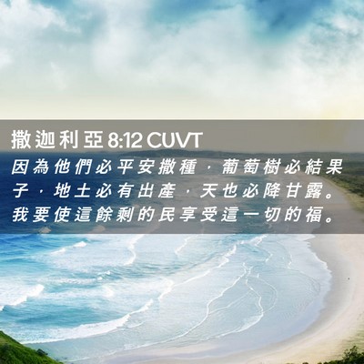 Picture 02 - 撒 迦 利 亞 8:12 CUVT - 因 為 他 們 必 平 安 撒 種 ， 葡 萄 - Bible Verse Picture