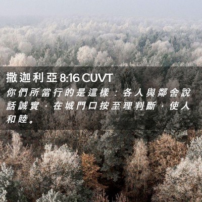 Picture 02 - 撒 迦 利 亞 8:16 CUVT - 你 們 所 當 行 的 是 這 樣 ： 各 人 - Bible Verse Picture
