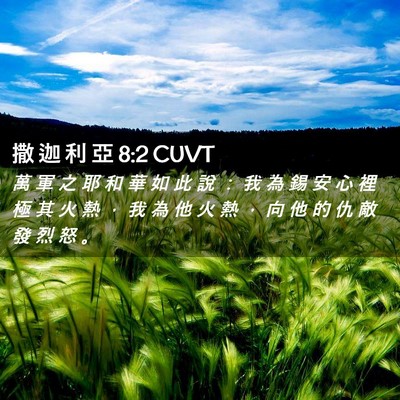 Picture 02 - 撒 迦 利 亞 8:2 CUVT - 萬 軍 之 耶 和 華 如 此 說 ： 我 為 - Bible Verse Picture