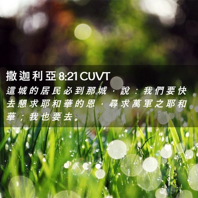 Picture 02 - 撒 迦 利 亞 8:21 CUVT - 這 城 的 居 民 必 到 那 城 ， 說 ： - Bible Verse Picture
