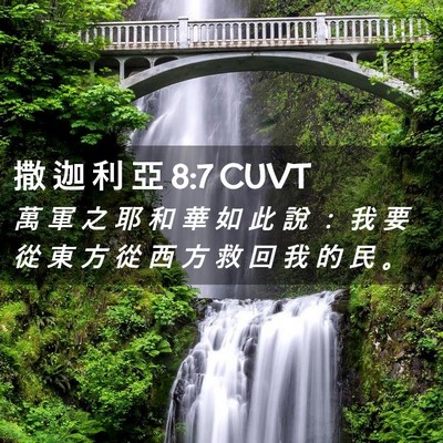 Picture 02 - 撒 迦 利 亞 8:7 CUVT - 萬 軍 之 耶 和 華 如 此 說 ： 我 要 - Bible Verse Picture
