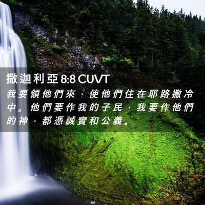 Picture 02 - 撒 迦 利 亞 8:8 CUVT - 我 要 領 他 們 來 ， 使 他 們 住 在 - Bible Verse Picture