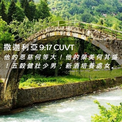 Picture 02 - 撒 迦 利 亞 9:17 CUVT - 他 的 恩 慈 何 等 大 ！ 他 的 榮 美 - Bible Verse Picture