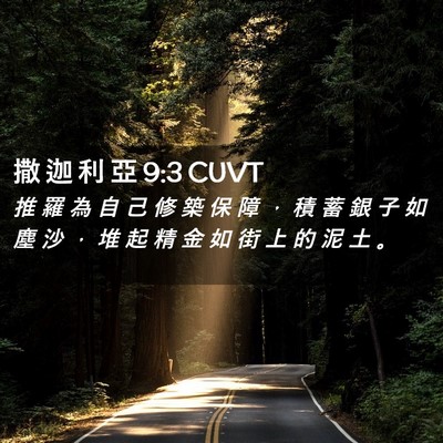 Picture 02 - 撒 迦 利 亞 9:3 CUVT - 推 羅 為 自 己 修 築 保 障 ， 積 蓄 - Bible Verse Picture