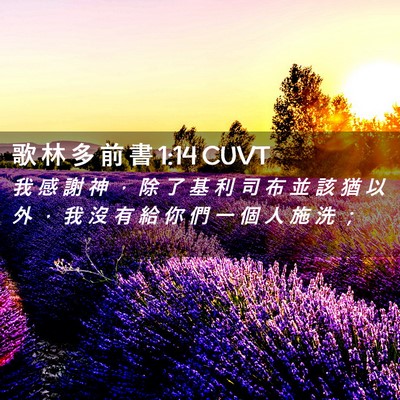 Picture 02 - 歌 林 多 前 書 1:14 CUVT - 我 感 謝 神 ， 除 了 基 利 司 布 並 - Bible Verse Picture