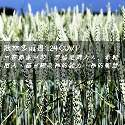 Picture 02 - 歌 林 多 前 書 1:24 CUVT - 但 在 那 蒙 召 的 ， 無 論 是 猶 太 - Bible Verse Picture
