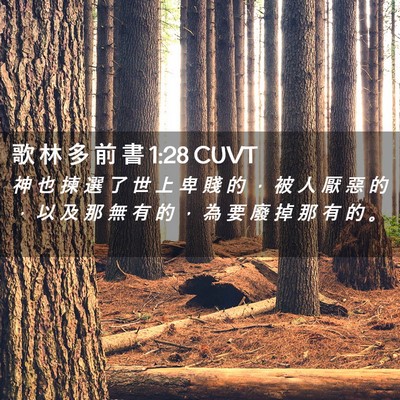 Picture 02 - 歌 林 多 前 書 1:28 CUVT - 神 也 揀 選 了 世 上 卑 賤 的 ， 被 - Bible Verse Picture