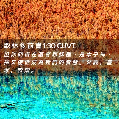 Picture 02 - 歌 林 多 前 書 1:30 CUVT - 但 你 們 得 在 基 督 耶 穌 裡 ， 是 - Bible Verse Picture